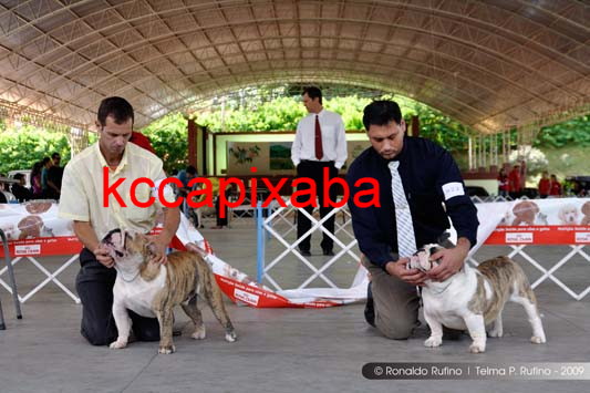 Clique sobre a foto para fechar